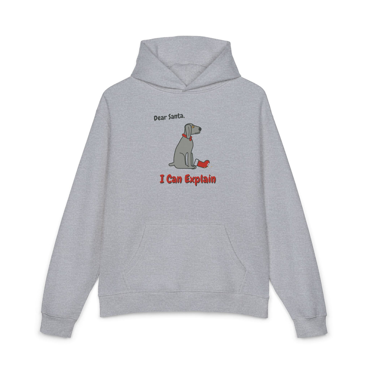 Dear Santa, I Can Explain Hoodie