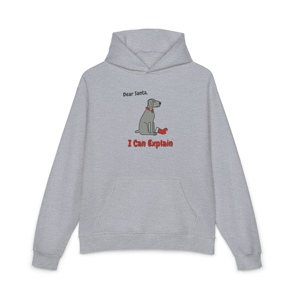 Dear Santa, I Can Explain Hoodie